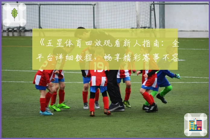 《五星体育回放观看新人指南：全平台详细教程，畅享精彩赛事不容错过》