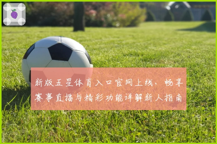 新版五星体育入口官网上线，畅享赛事直播与精彩功能详解新人指南