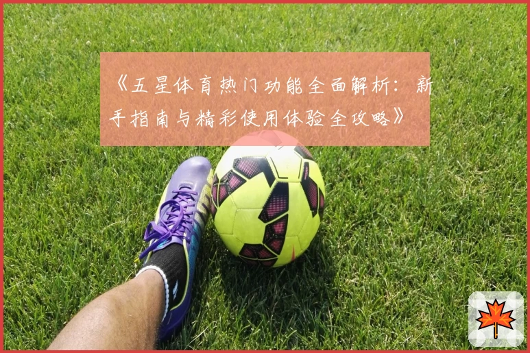 《五星体育热门功能全面解析：新手指南与精彩使用体验全攻略》