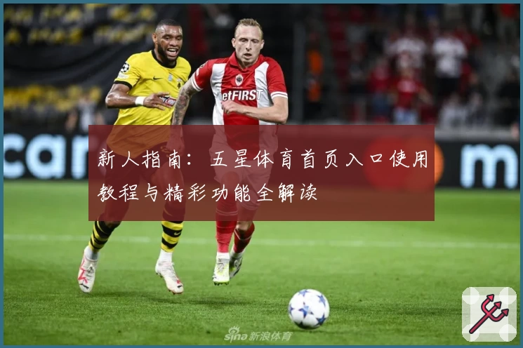 新人指南：五星体育首页入口使用教程与精彩功能全解读