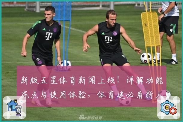 新版五星体育新闻上线！详解功能亮点与使用体验，体育迷必看新人指南